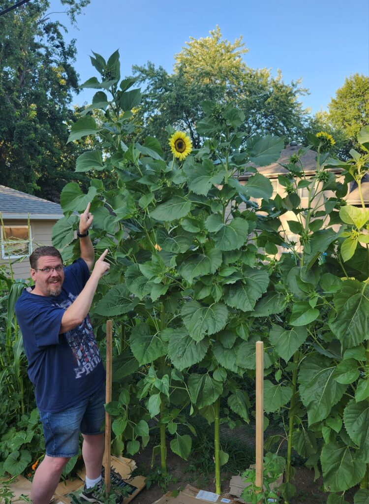 Brian Hogsett standing beside a 10-foot sunflower in his 2023 backyard garden in Overland Park, Kansas